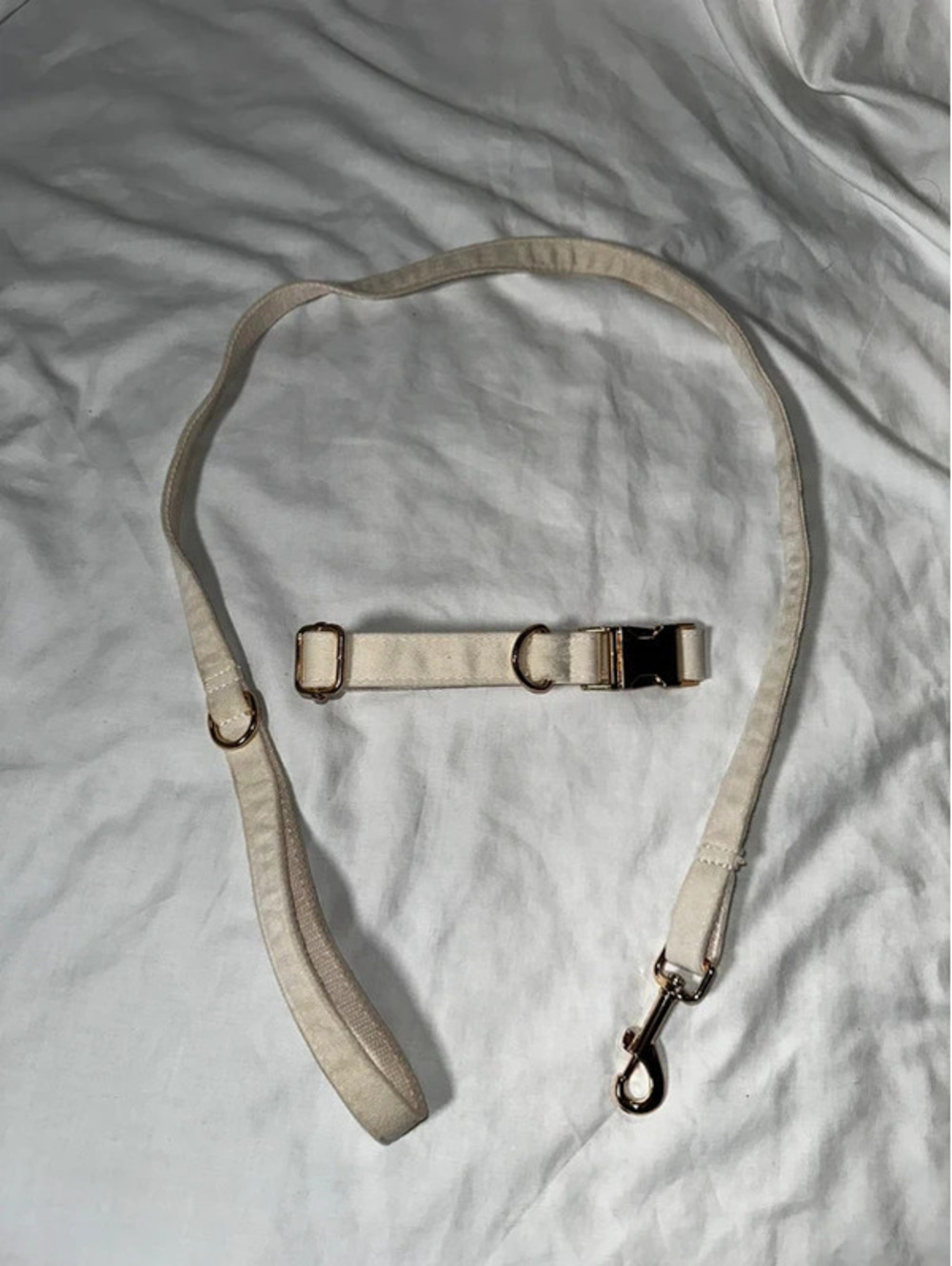 White dog collar and leash used once